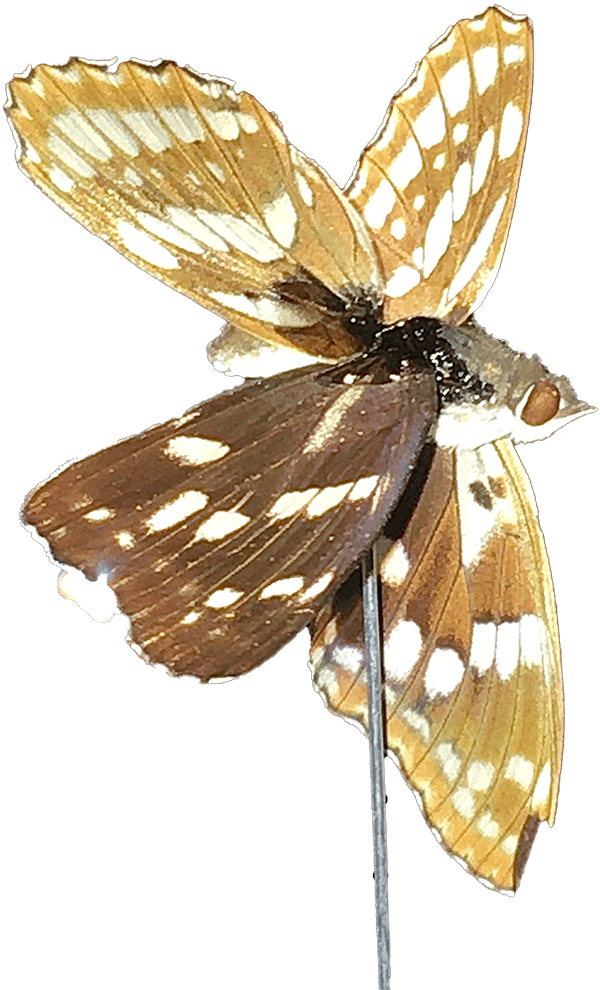 YouTube video preview image